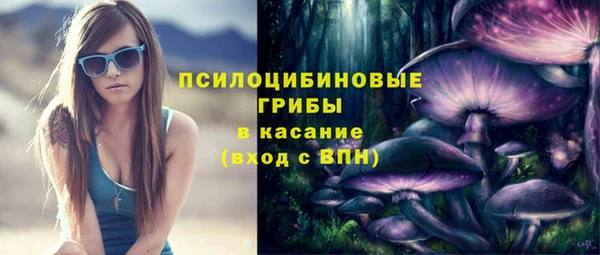 ешки Переславль-Залесский