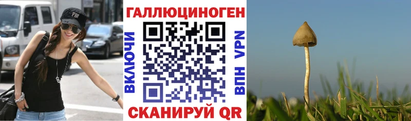 Псилоцибиновые грибы мухоморы  omg вход  Динская  магазин   